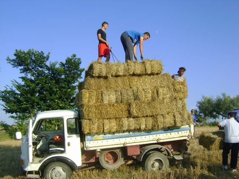Preparazione campo (13).JPG